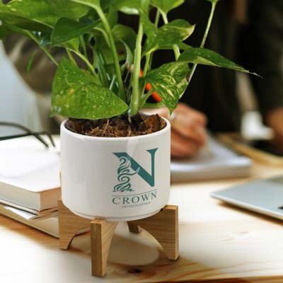 The Planter with Bamboo Base is a ceramic planter pot with bamboo base and legs.  Suitable for indoor plants.  Great options for personalised gifts.